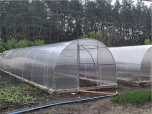 ECO TEPLITCA: Comprehensive Greenhouse Solutions for Every Grower