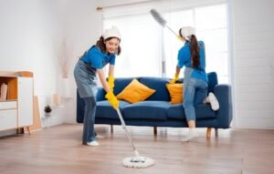 Fortnightly cleaning service