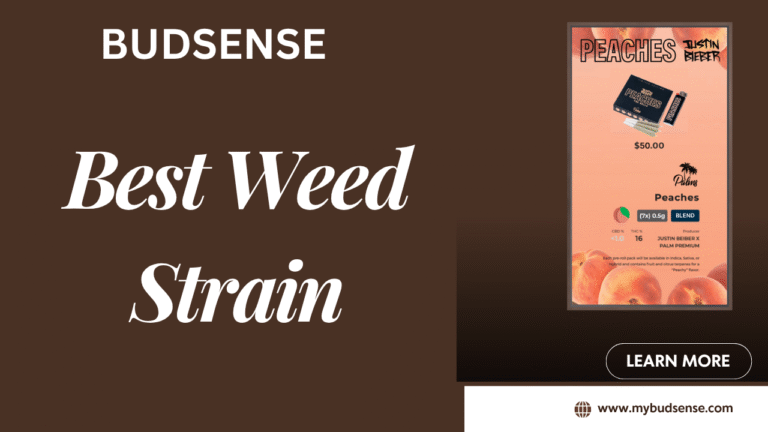 Justin Bieber Weed Trend: Finding the Best Weed Strain with BudSense