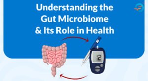 The Gut Microbiome Explained: Your Body’s Hidden Health Ally