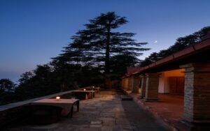 Discover Tranquility at Its Finest: The Perfect Homestay in Binsar