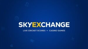 How to Become a Skyexchange Agent and Maximize Earnings