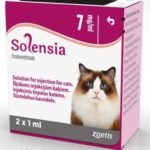 Solensia (Frunevetmab) Injection for Cats: A Breakthrough in Osteoarthritis Pain Relief