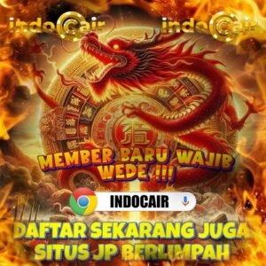 Enjoy Top-Quality Service on Indocair Flights