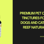 Premium Pet CBD Tinctures for Dogs and Cats | Reef Natural