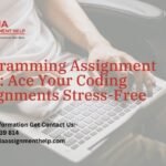 Programming Assignment Help: Ace Your Coding Assignments Stress-Free