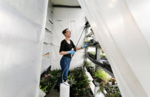 Why Gutter Cleaning Is Essential for Protecting Your Home from Water Damage