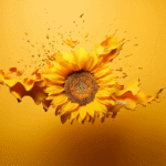 Tailored Laboratory Solutions: Furniture, Consumables, and Technical Support for Agriculture and Food