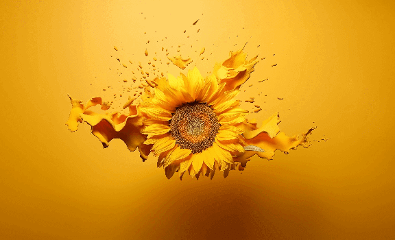 Precision Laboratory Equipment for Mining, Metallurgy, and Engineering