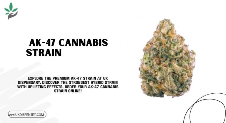 AK-47 Cannabis Strain: Premium Hybrid Flower from ukdispensary
