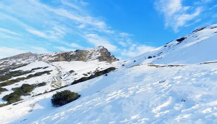 Chopta Tungnath Trek Experience: A Journey Through Forests, Peaks, and Peace