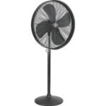 Explore the Best Online Fan Store for Premium Cooling Solutions