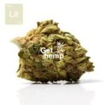 Explore Natural CBD Products for Daily Relief & Balance