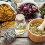 Herbal Remedies to Supercharge Immunity the Natural Way