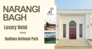 Top Reasons to Choose Narangi Bagh – A Luxury Hotel near Dudhwa National Park