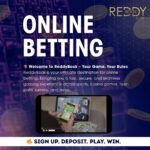 ReddyBook1: The Smart Way to Bring Order and Clarity to Your Business Accounts