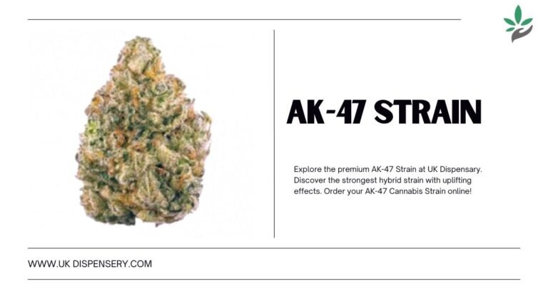 Premium AK-47 Strain Guide – ukdispensary