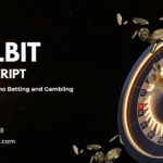 Build a Solana & Ethereum-Based Betting Platform Like Rollbit