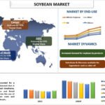 Soybean Market Trends & Future Outlook, 2030 | UnivDatos
