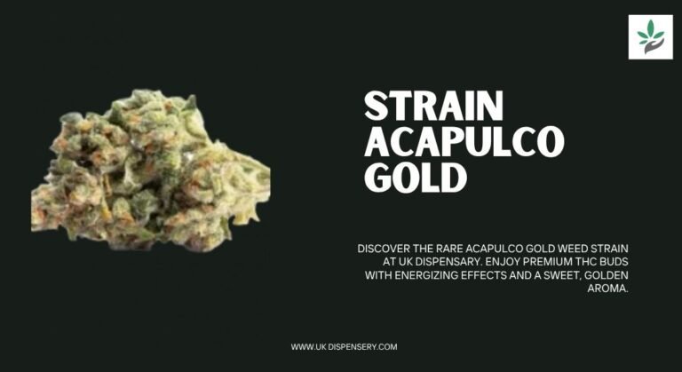 Acapulco Gold THC Flower by ukdispensary: Premium Quality Cannabis for UK Users