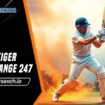 Tiger Exchange 247: Login to Sports Betting Tiger Exchange 247 today