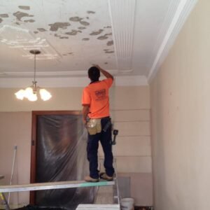 Steven Trevisan Plastering – Trusted Experts for Plastering In Newcastle