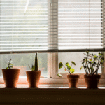 Blackout Window Blinds