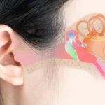 Ear Health: Simple Steps to Keep Your Ears Strong and Clear