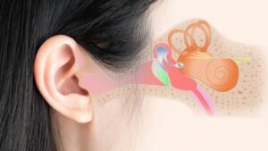 Ear Health: Simple Steps to Keep Your Ears Strong and Clear