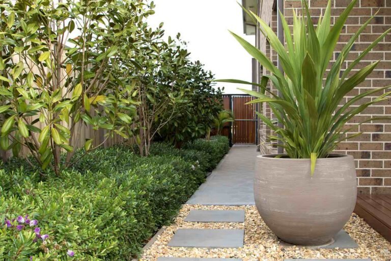 Landscaping Services in Sydney