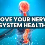 Nerve Health: How to Strengthen and Protect Your Nervous System Naturally