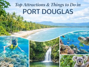 Port Douglas Tour Ideas: Day Trips, Cruises & Nature Activities