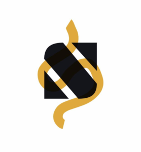 Splendas: Enhancing Modern Home Decor with Style and Innovation