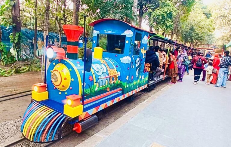 Best Outdoor Playground Equipment Supplier in Faridabad