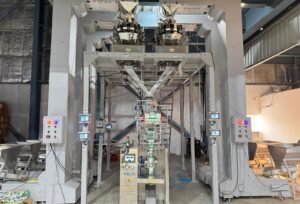 Pouch Packing Machine Manufacturer & Supplier in Faridabad