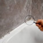 Mold Detection in Orlando | Fast & Accurate Inspection Services