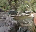 Best Waterfalls To Visit Near Chandigarh This Summer