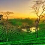 Places to Visit in Nagpur
