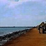 Rajkot to Gir Taxi | Rajkot to Gir Cab