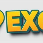 My99Exchange Review 2026 – A Complete Platform Overview
