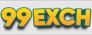 My99Exchange Review 2026 – A Complete Platform Overview