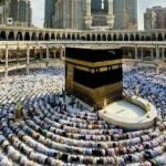 باصات نقل من مكة للمدينة: الراحة والأمان في كل رحلة