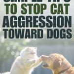 Simple Dog Training Tricks for Beginners