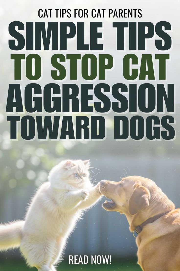 Simple Dog Training Tricks for Beginners