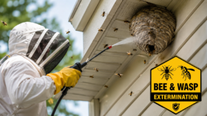 How to Prevent Bee & Wasp Infestations