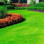 Landscaping Services in Dandenong