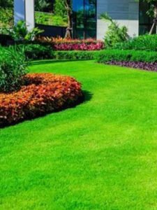 Landscaping Services in Dandenong