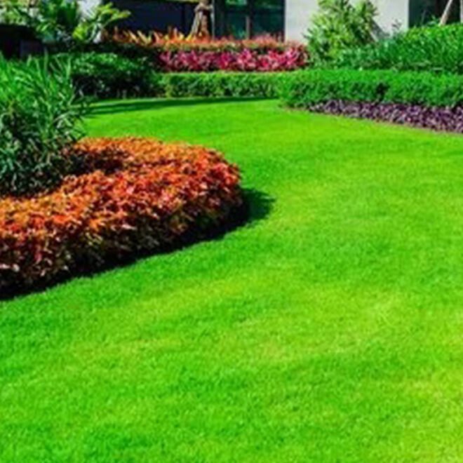 Landscaping Services in Dandenong