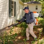 Pest Control SEO: A Complete Guide to Growing Local Pest Control Businesses