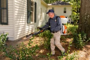 Pest Control SEO: A Complete Guide to Growing Local Pest Control Businesses